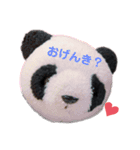taro stamp part1（個別スタンプ：1）