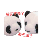 taro stamp part1（個別スタンプ：2）