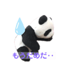 taro stamp part1（個別スタンプ：4）
