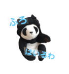 taro stamp part1（個別スタンプ：6）