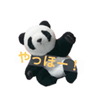 taro stamp part1（個別スタンプ：7）