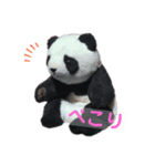 taro stamp part1（個別スタンプ：9）