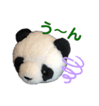 taro stamp part1（個別スタンプ：12）