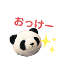 taro stamp part1（個別スタンプ：14）