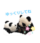 taro stamp part1（個別スタンプ：15）