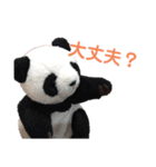 taro stamp part1（個別スタンプ：16）