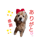 だいぞうスタンプ（個別スタンプ：6）