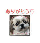 そっちゃんのスタンプ2020（個別スタンプ：14）