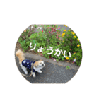そっちゃんのスタンプ2020（個別スタンプ：20）
