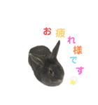 ちくわと似顔絵（個別スタンプ：3）