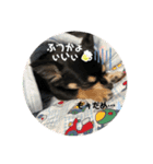 じょにー2020（個別スタンプ：12）