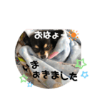 じょにー2020（個別スタンプ：13）