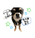 じょにー2020（個別スタンプ：15）