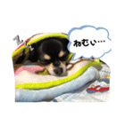 じょにー2020（個別スタンプ：16）
