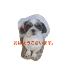 らび、るる、りく、りおん、ふく、さらん（個別スタンプ：2）