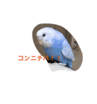 らび、るる、りく、りおん、ふく、さらん（個別スタンプ：3）