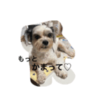 らび、るる、りく、りおん、ふく、さらん（個別スタンプ：6）