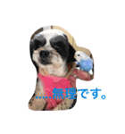 らび、るる、りく、りおん、ふく、さらん（個別スタンプ：13）