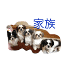 らび、るる、りく、りおん、ふく、さらん（個別スタンプ：15）