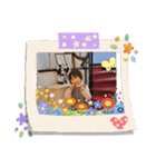kokone 2（個別スタンプ：6）