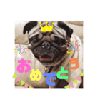 大福の毎日～part2～（個別スタンプ：3）