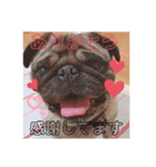 大福の毎日～part2～（個別スタンプ：8）