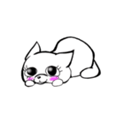 日常で使える猫？（個別スタンプ：1）