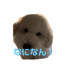 なんくんの日常（個別スタンプ：1）