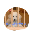 なんくんの日常（個別スタンプ：2）