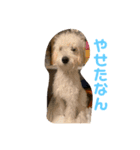 なんくんの日常（個別スタンプ：7）