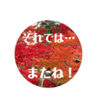 私の日常スタンプ*（個別スタンプ：7）