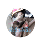 ボストンの一日（個別スタンプ：6）