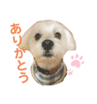 ノンちゃんとゆうくん（個別スタンプ：1）
