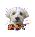 ノンちゃんとゆうくん（個別スタンプ：2）