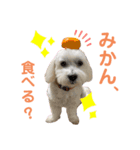 ノンちゃんとゆうくん（個別スタンプ：3）