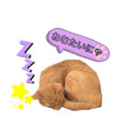 ノンちゃんとゆうくん（個別スタンプ：7）