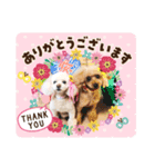 ピッコロ＆ディーバの日常（個別スタンプ：4）