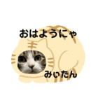 みぃたんすたぁんぷ（個別スタンプ：2）