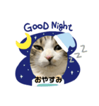 みぃたんすたぁんぷ（個別スタンプ：3）