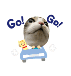 みぃたんすたぁんぷ（個別スタンプ：16）