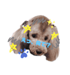 可愛いどうぶつたち♡（個別スタンプ：3）