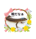 カナヘビちゃん❤（個別スタンプ：8）