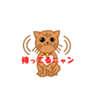 チー子と日常スタンプ（個別スタンプ：2）