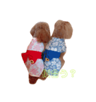 ぽんかん犬（個別スタンプ：4）