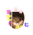ケラポンたん（個別スタンプ：3）