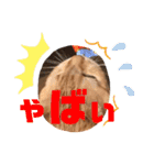ケラポンたん（個別スタンプ：6）