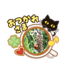 ケラポンたん（個別スタンプ：14）