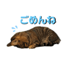 そここにあり。（個別スタンプ：4）