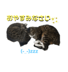 そここにあり。（個別スタンプ：8）