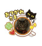 うちの猫 イヴちゃん（個別スタンプ：8）